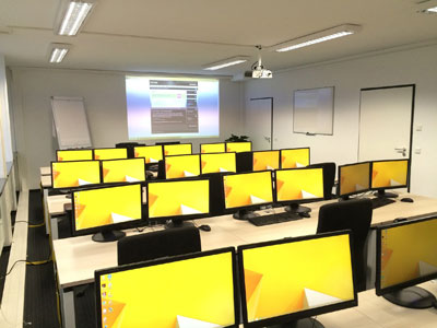 自动化文档的轰炸手机号在线使用